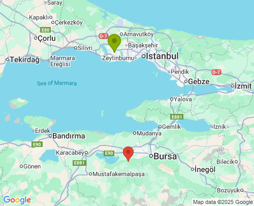 İstanbul Bursa arası evden eve nakliyat