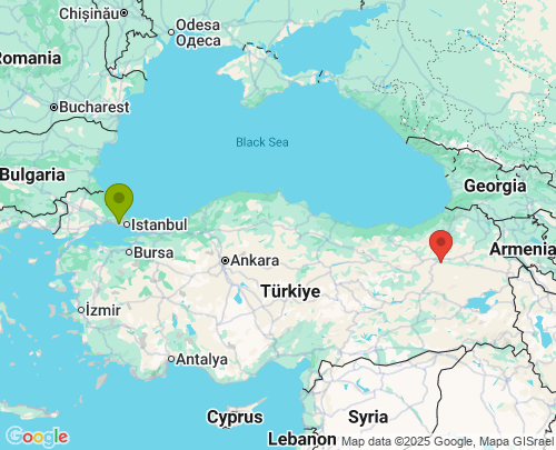 Esenyurt İstanbul Palandöken Erzurum arası evden eve nakliyat