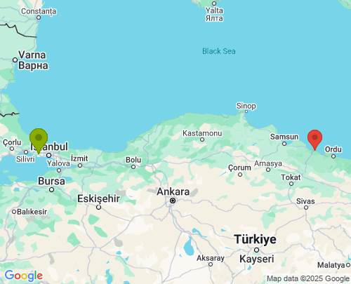 İstanbul Ordu arası evden eve nakliyat