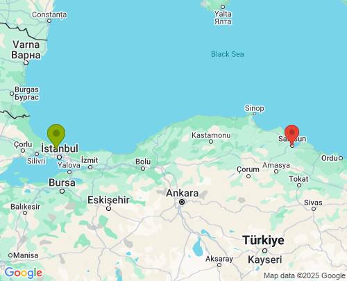 İstanbul Samsun arası evden eve nakliyat