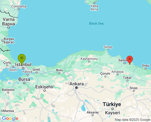 İstanbul Samsun arası evden eve nakliyat