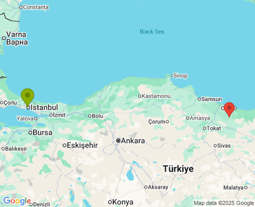 İstanbul Ordu arası evden eve nakliyat