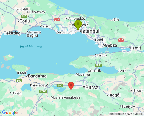 İstanbul Bursa arası evden eve nakliyat