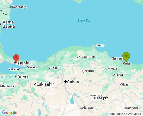Fatsa Ordu Üsküdar İstanbul arası evden eve nakliyat