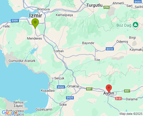 İzmir Aydın arası evden eve nakliyat