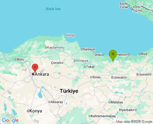 Giresun Ankara arası evden eve nakliyat