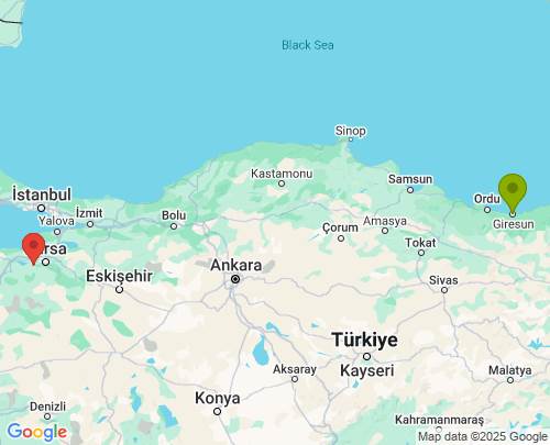 Giresun Bursa arası evden eve nakliyat