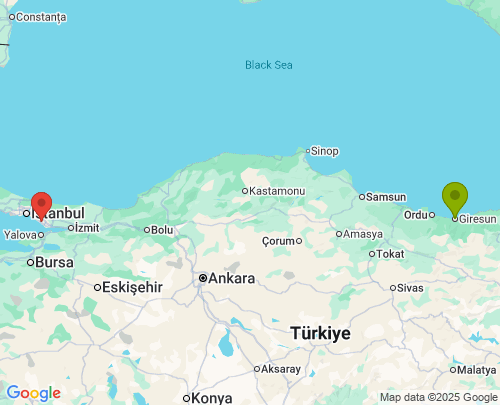 Giresun İstanbul arası evden eve nakliyat