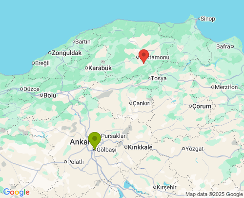 Ankara Kastamonu arası evden eve nakliyat