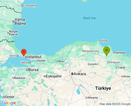 Samsun İstanbul arası evden eve nakliyat