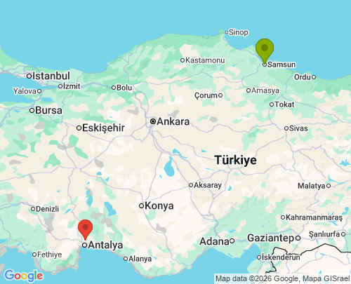 Samsun Antalya arası evden eve nakliyat