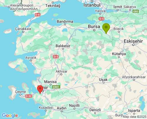 Bursa İzmir arası evden eve nakliyat