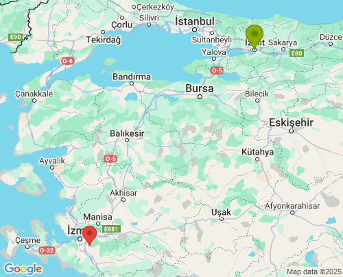 Kocaeli İzmir arası evden eve nakliyat