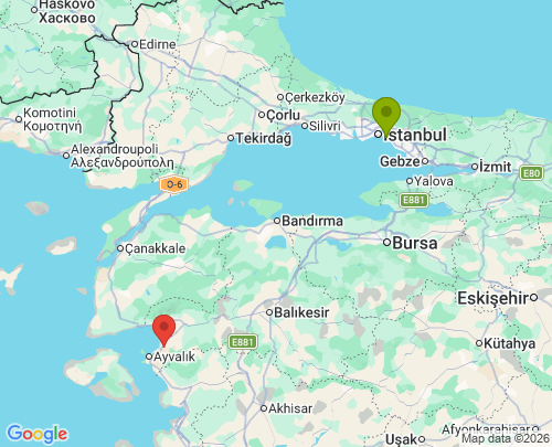 Kadıköy İstanbul Gömeç Balıkesir arası evden eve nakliyat