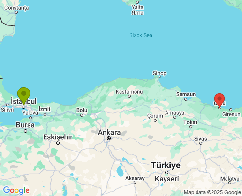 İstanbul Ordu arası evden eve nakliyat