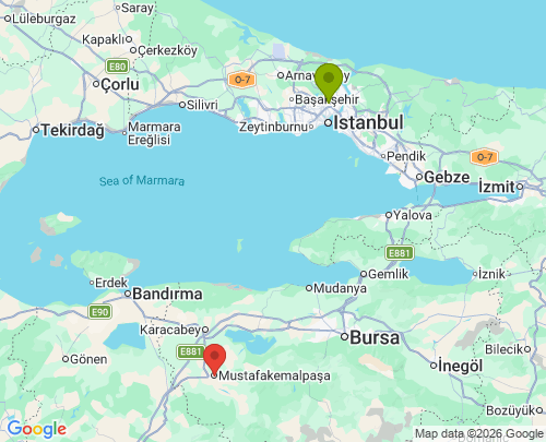 İstanbul Bursa arası evden eve nakliyat