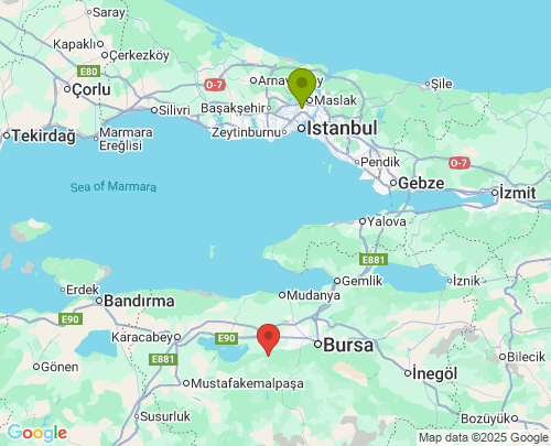 İstanbul Bursa arası evden eve nakliyat