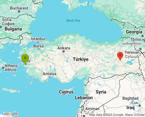 İzmir Muş arası evden eve nakliyat
