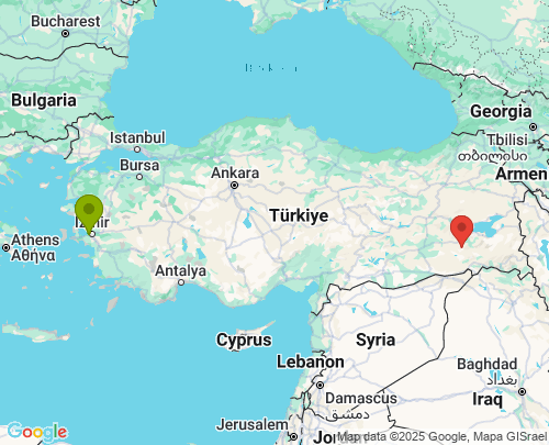 İzmir Siirt arası evden eve nakliyat
