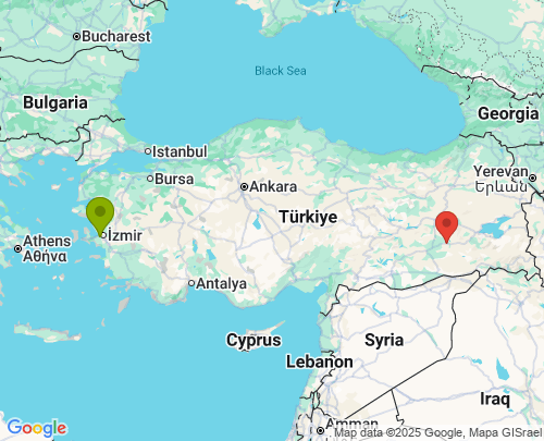 İzmir Diyarbakır arası evden eve nakliyat