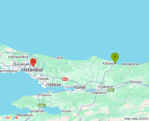 Sakarya İstanbul arası evden eve nakliyat