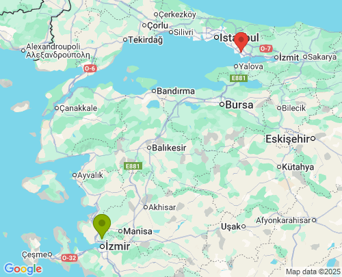İzmir Kocaeli arası evden eve nakliyat