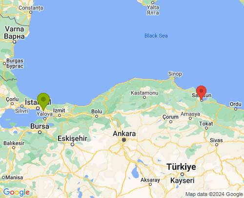 İstanbul Samsun arası parça eşya taşıma