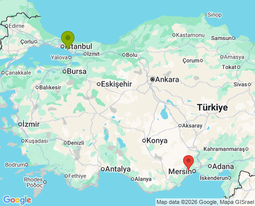 İstanbul Mersin arası evden eve nakliyat