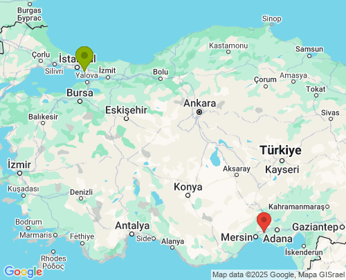 İstanbul Mersin arası evden eve nakliyat
