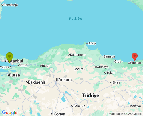 İstanbul Giresun arası evden eve nakliyat