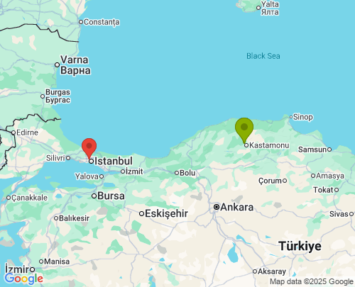 Kastamonu İstanbul arası evden eve nakliyat