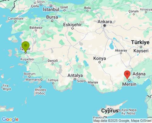 İzmir Mersin arası evden eve nakliyat