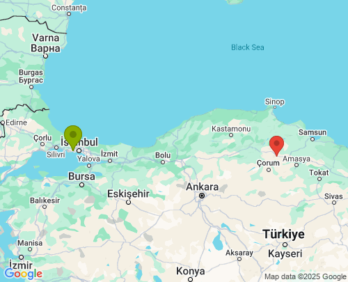 İstanbul Amasya arası evden eve nakliyat