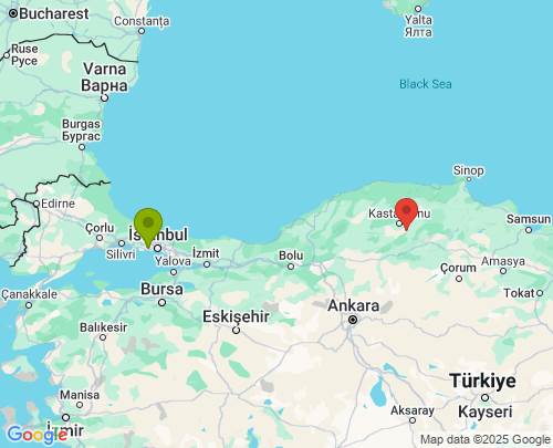 İstanbul Kastamonu arası evden eve nakliyat