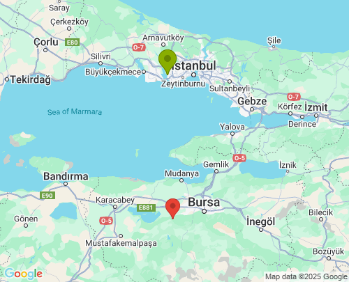 İstanbul Bursa arası evden eve nakliyat