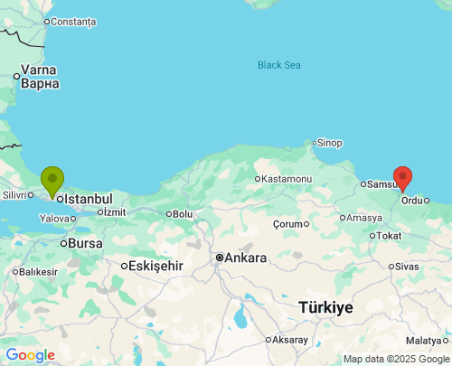 İstanbul Ordu arası evden eve nakliyat