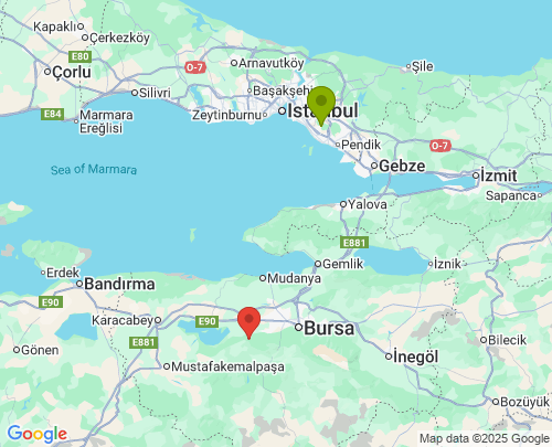 İstanbul Bursa arası evden eve nakliyat