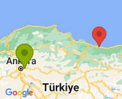 Ankara Ordu arası evden eve nakliyat
