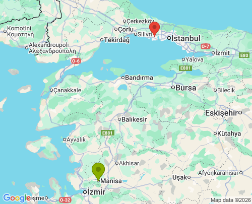 Manisa İstanbul arası parça eşya taşıma