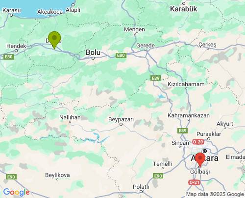 Düzce Ankara arası evden eve nakliyat