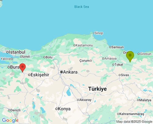 Ordu Bilecik arası evden eve nakliyat
