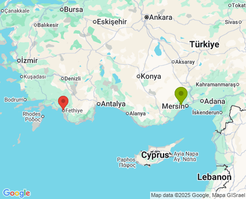 Mezitli Mersin Fethiye Muğla arası evden eve nakliyat