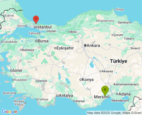 Mezitli Mersin Sarıyer İstanbul arası evden eve nakliyat