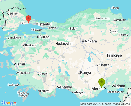 Mersin İstanbul arası evden eve nakliyat