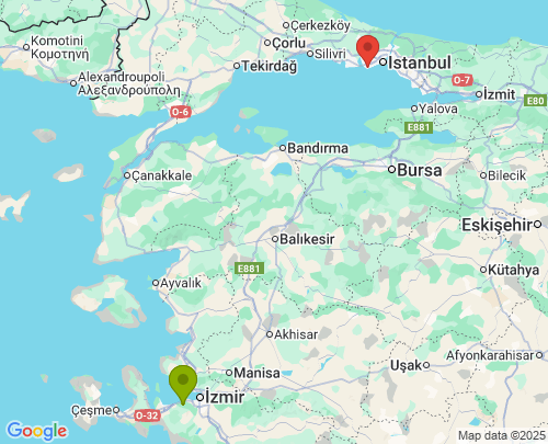 Narlıdere İzmir Bakırköy İstanbul arası evden eve nakliyat