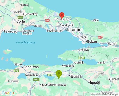 Bursa İstanbul arası evden eve nakliyat