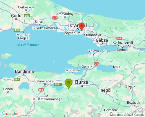 Nilüfer Bursa Kadıköy İstanbul arası evden eve nakliyat