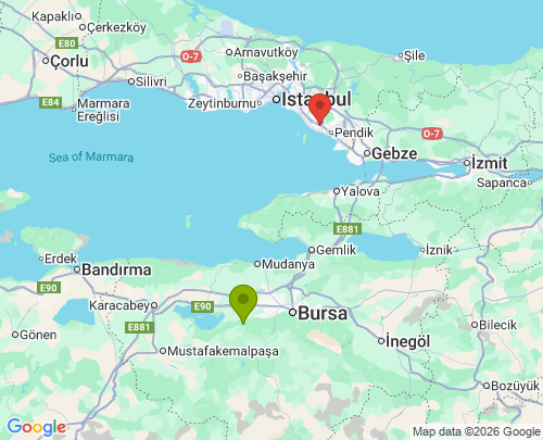 Bursa İstanbul arası evden eve nakliyat