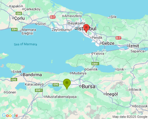 Bursa İstanbul arası evden eve nakliyat
