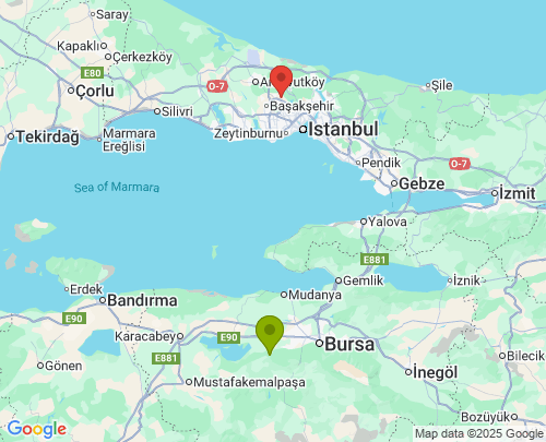 Bursa İstanbul arası evden eve nakliyat